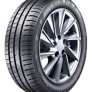 Wanli cp641 195/60R15